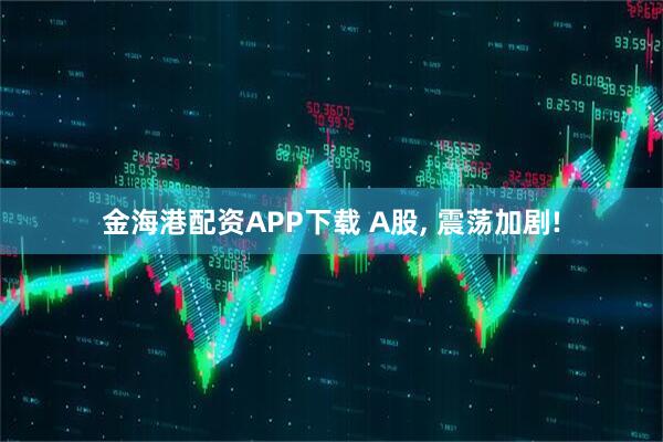 金海港配资APP下载 A股, 震荡加剧!