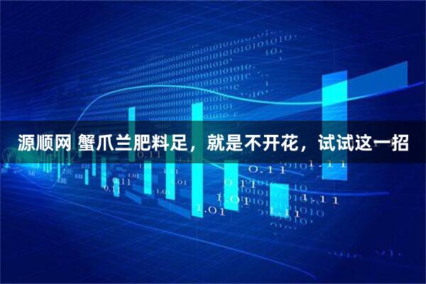 源顺网 蟹爪兰肥料足,就是不开花,试试这一招